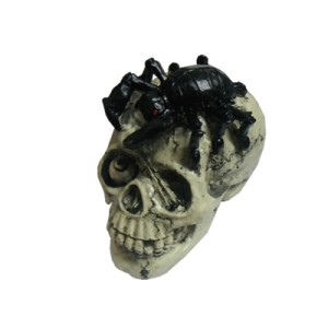 OM-17022H COFRE CRANIO EM RESINA