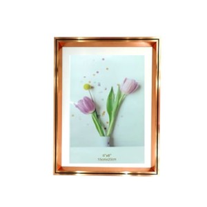 SXHD-5254 PORTA RETRATO 15X20CM