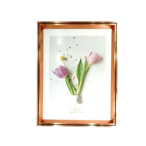 SXHD-5255 PORTA RETRATO 20X25CM