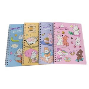 A5-MJ5525-31 CADERNO MODELOS SORTIDOS