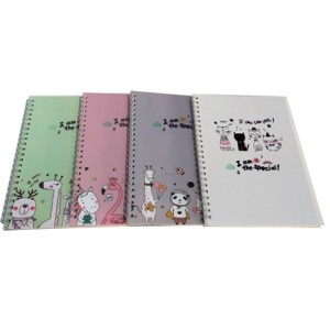 A5-MJ2555-1 CADERNO MODELOS SORTIDOS