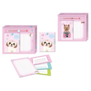 SXFS-6005 DIARIO COM PAPEL DE CARTA E CANETA