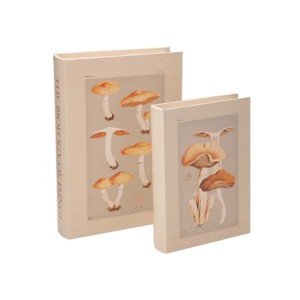 14085 KIT CAIXAS LIVROS 2 PECAS