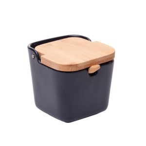 18036 SALEIRO C/TAMPA E COLHER DE BAMBU AZUL 10X10,5X10CM