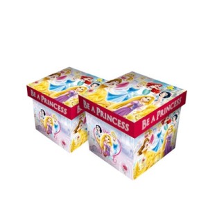 274-058 JOGO 2 CAIXAS PRINCESAS